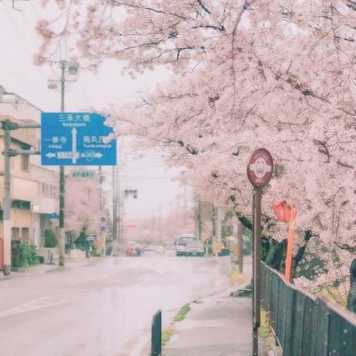 九州体育app手机版